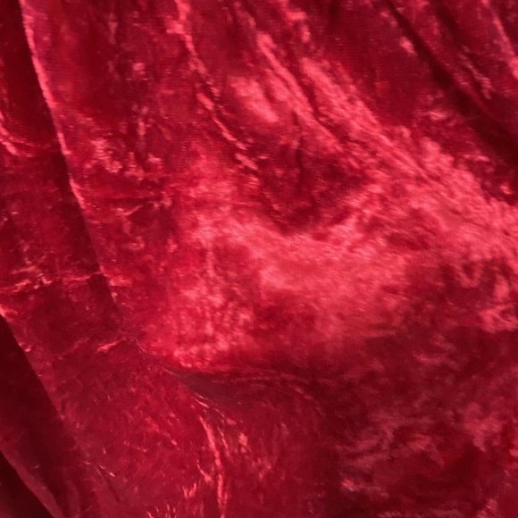 Woman's M 'Vampire Witch Halloween Costume Dress Medieval Red Sparkly Velour - Picture 7 of 13